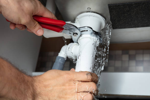 Best Water damage restoration mold remediation  in Capron, IL