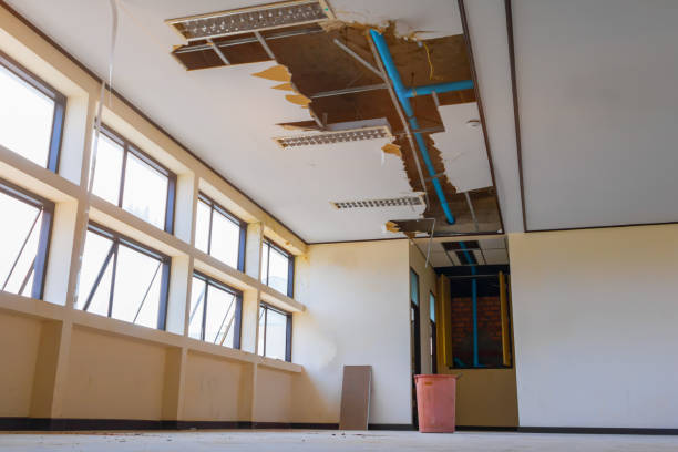 Trusted Capron, IL Water damage restoration Experts