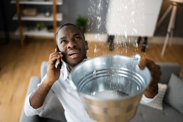 Best Flood damage cleanup  in Capron, IL