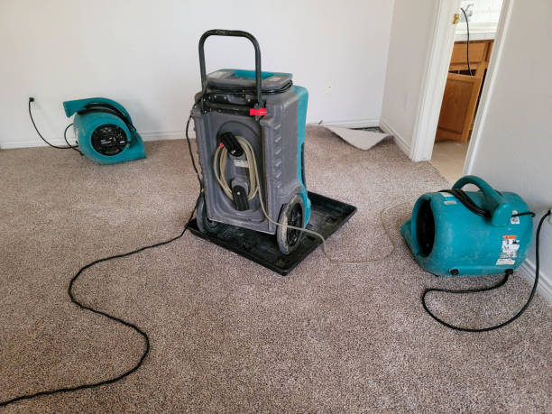 Best Flood damage cleanup  in Capron, IL