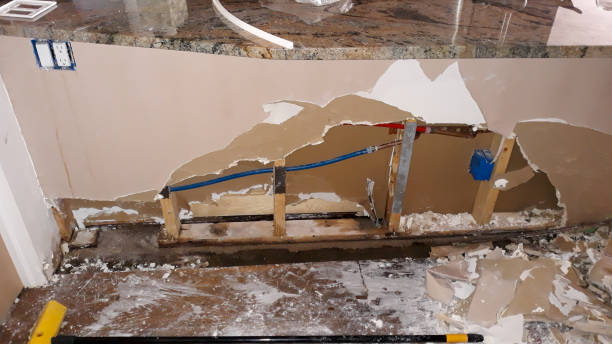 Water damage restoration mold remediation in Capron, IL