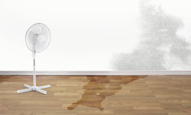Best Water damage cleanup near me  in Capron, IL