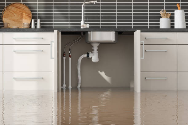  Capron, IL Water damage restoration Pros