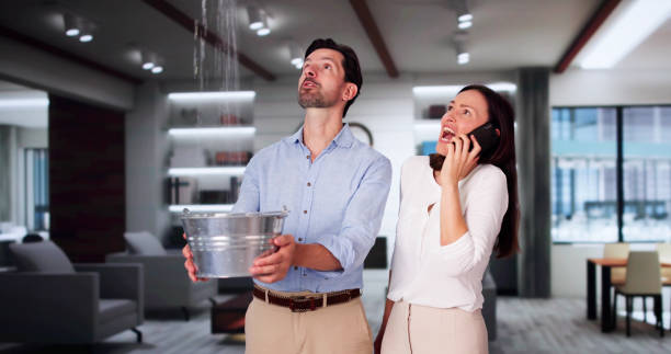 Best Professional water damage repair  in Capron, IL