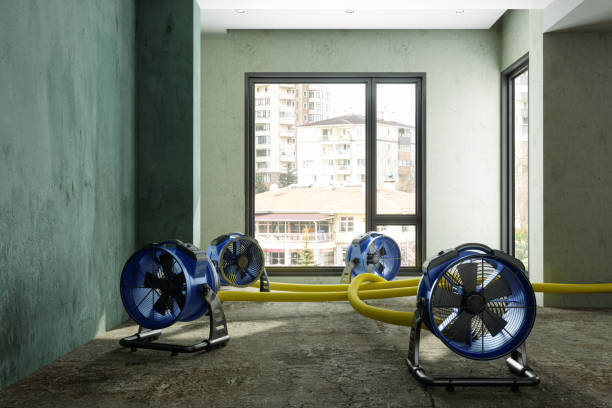 Best Water damage restoration process  in Capron, IL