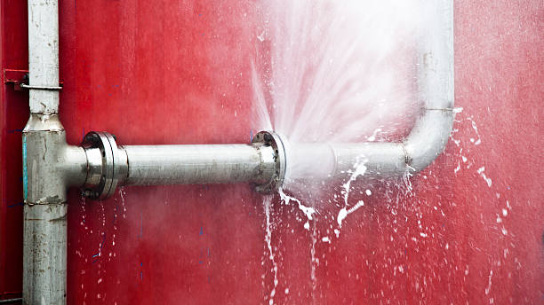 Best Water damage mitigation services  in Capron, IL