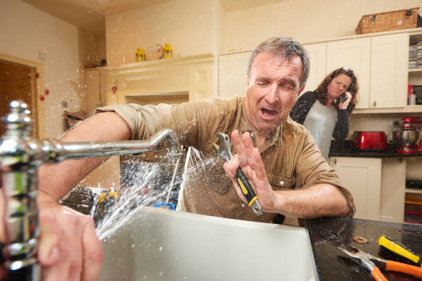 Best Fire Damage Restoration  in Capron, IL